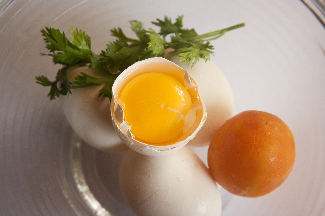 oeuf_casse